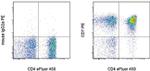 CD7 Antibody in Flow Cytometry (Flow)