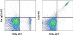 CD8b Antibody in Flow Cytometry (Flow)