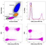 CD8a Antibody