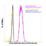 CD10 Antibody