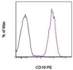 CD10 Antibody in Flow Cytometry (Flow)