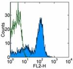 CD19 Antibody in Flow Cytometry (Flow)