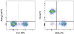 CD19 Antibody in Flow Cytometry (Flow)