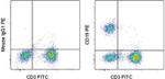 CD19 Antibody in Flow Cytometry (Flow)