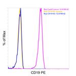 CD19 Antibody