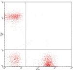 CD19 Antibody in Flow Cytometry (Flow)