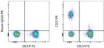 CD20 Antibody in Flow Cytometry (Flow)