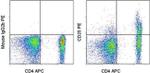 CD25 Antibody in Flow Cytometry (Flow)