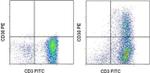 CD30 Antibody in Flow Cytometry (Flow)