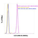 CD31 (PECAM-1) Antibody in Flow Cytometry (Flow)