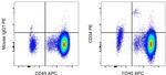 CD34 Antibody in Flow Cytometry (Flow)