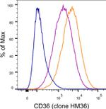 CD36 Antibody