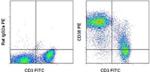 CD38 Antibody in Flow Cytometry (Flow)