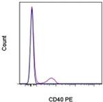 CD40 Antibody in Flow Cytometry (Flow)