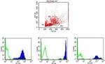 CD44 Antibody in Flow Cytometry (Flow)