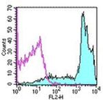 CD45RB Antibody in Flow Cytometry (Flow)