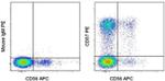 CD57 Antibody in Flow Cytometry (Flow)