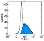 CD62E (E-selectin) Antibody in Flow Cytometry (Flow)