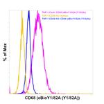 CD68 Antibody