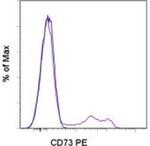 CD73 Antibody in Flow Cytometry (Flow)