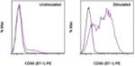 CD80 (B7-1) Antibody in Flow Cytometry (Flow)