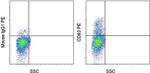 CD83 Antibody in Flow Cytometry (Flow)