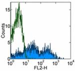 CD95 (APO-1/Fas) Antibody in Flow Cytometry (Flow)