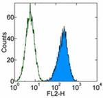 CD105 (Endoglin) Antibody in Flow Cytometry (Flow)