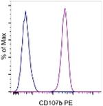 CD107b (LAMP-2) Antibody in Flow Cytometry (Flow)