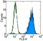 CD107a (LAMP-1) Antibody in Flow Cytometry (Flow)