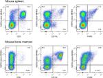 VISTA Antibody