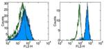 CD119 (IFN gamma Receptor 1) Antibody in Flow Cytometry (Flow)