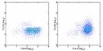 CD152 (CTLA-4) Antibody in Flow Cytometry (Flow)