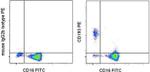 CD193 (CCR3) Antibody in Flow Cytometry (Flow)