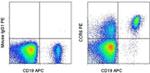 CD196 (CCR6) Antibody in Flow Cytometry (Flow)