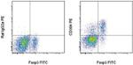 CD304 (Neuropilin-1) Antibody in Flow Cytometry (Flow)