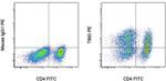 CD366 (TIM3) Antibody in Flow Cytometry (Flow)