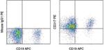 CD317 (BST2, PDCA-1) Antibody in Flow Cytometry (Flow)