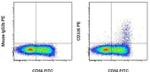 CD336 (NKp44) Antibody in Flow Cytometry (Flow)