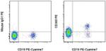 CD360 (IL-21 Receptor) Antibody in Flow Cytometry (Flow)