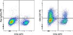 Rat IgG2a kappa Isotype Control in Flow Cytometry (Flow)