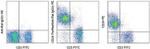 Rat IgG2c Secondary Antibody in Flow Cytometry (Flow)