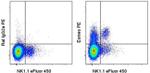 EOMES Antibody in Flow Cytometry (Flow)