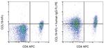 Human IgG Fc Secondary Antibody in Flow Cytometry (Flow)