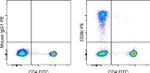 CD8b Antibody in Flow Cytometry (Flow)