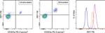 IRF7 Antibody in Flow Cytometry (Flow)