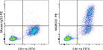 MARCO Antibody in Flow Cytometry (Flow)