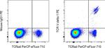 TCR V delta 1 Antibody in Flow Cytometry (Flow)