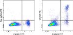 VSIG4 Antibody in Flow Cytometry (Flow)