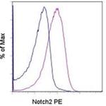 NOTCH2 Antibody in Flow Cytometry (Flow)